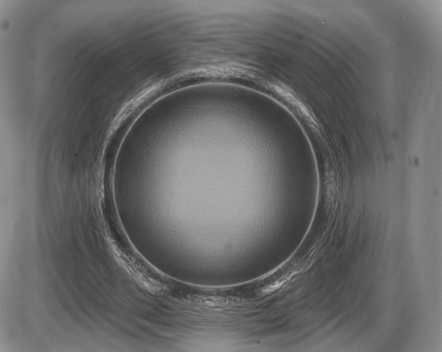 X0000086020486200703231150