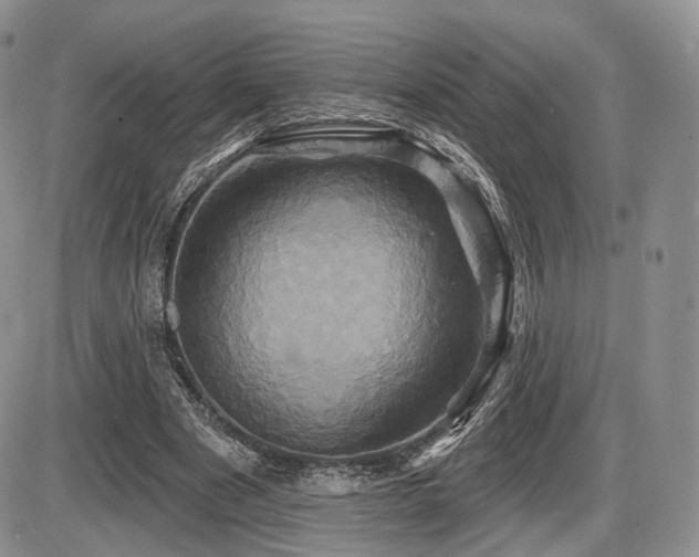X0000086020489200703231150