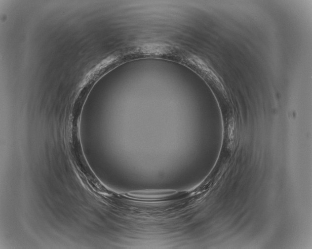 X0000086020492200703231150