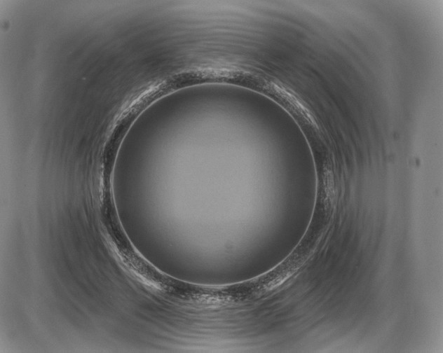 X0000086020494200703231150