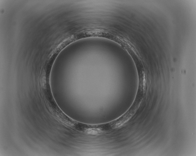 X0000086020508200703231149