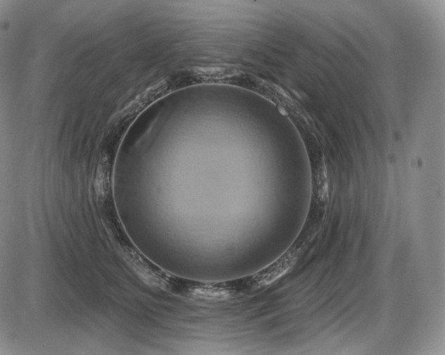 X0000086020515200703231149