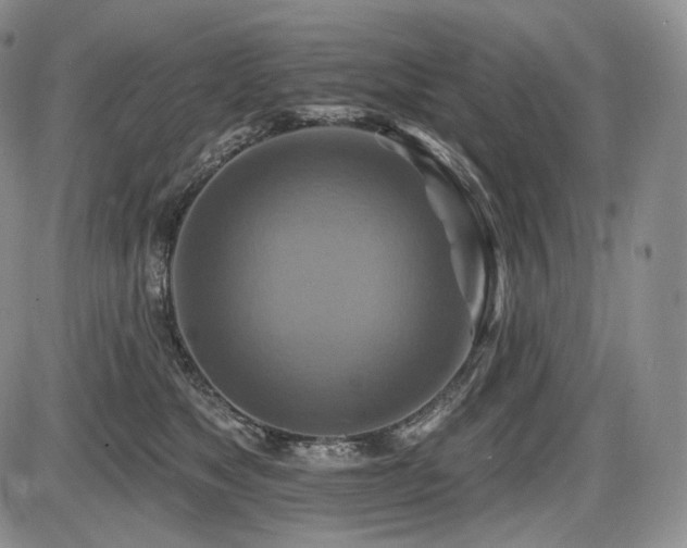 X0000086020517200703231149