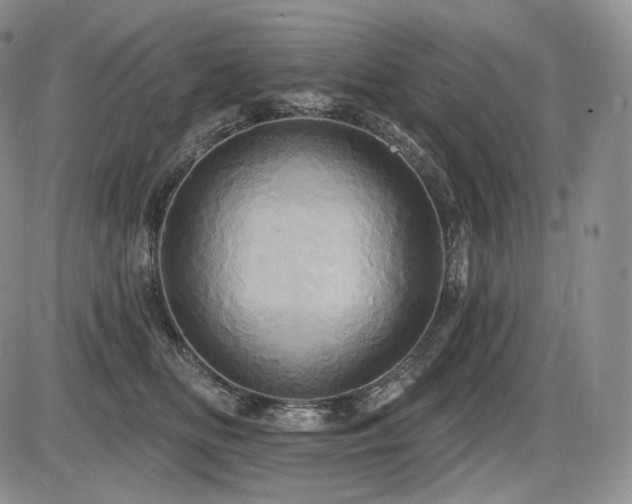 X0000086020518200703231149