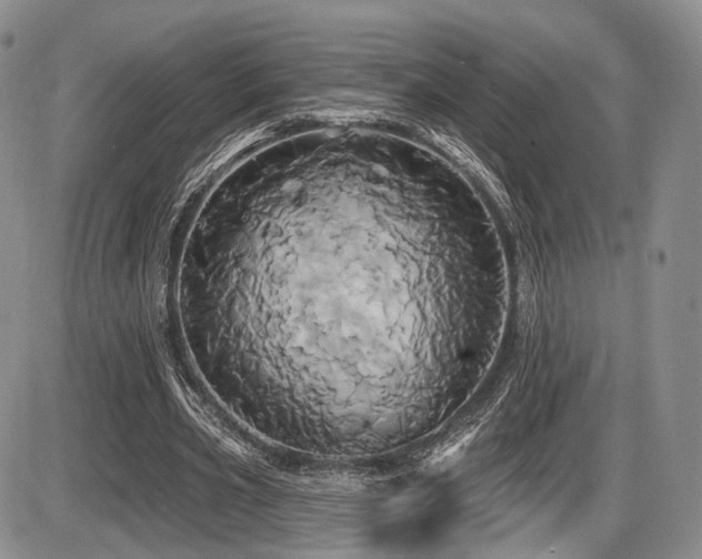 X0000086020533200703231148