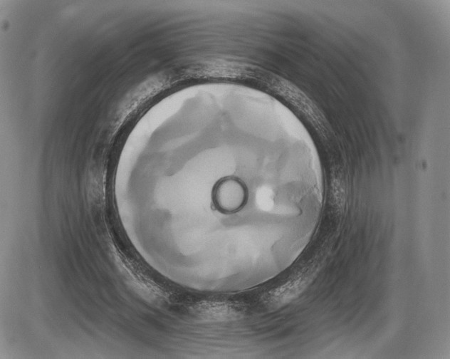 X0000086020534200703231148