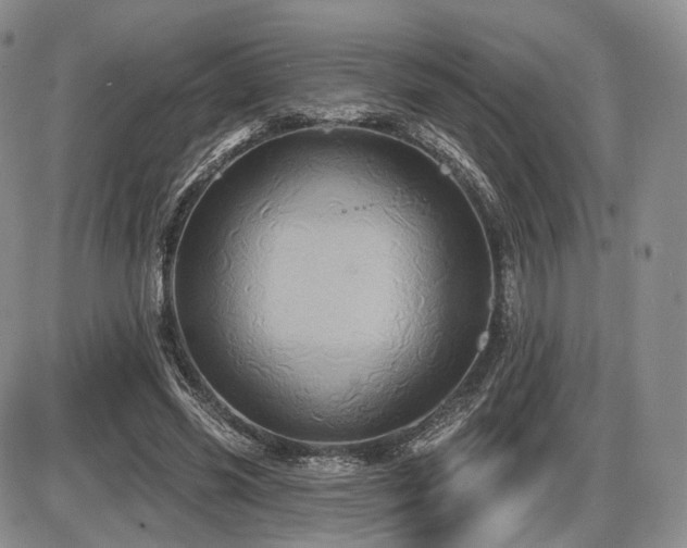 X0000086020541200703231148