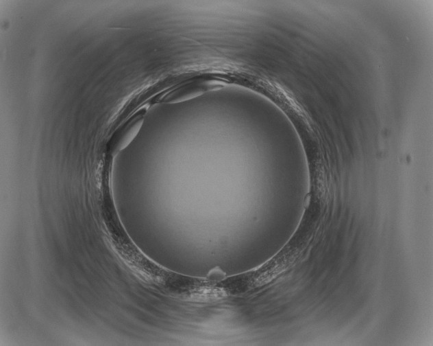 X0000086020543200703231148