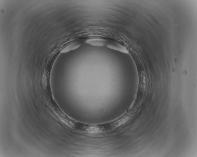 X0000086020562200703231149