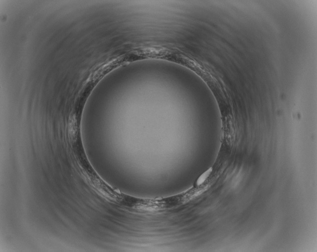 X0000086020563200703231149