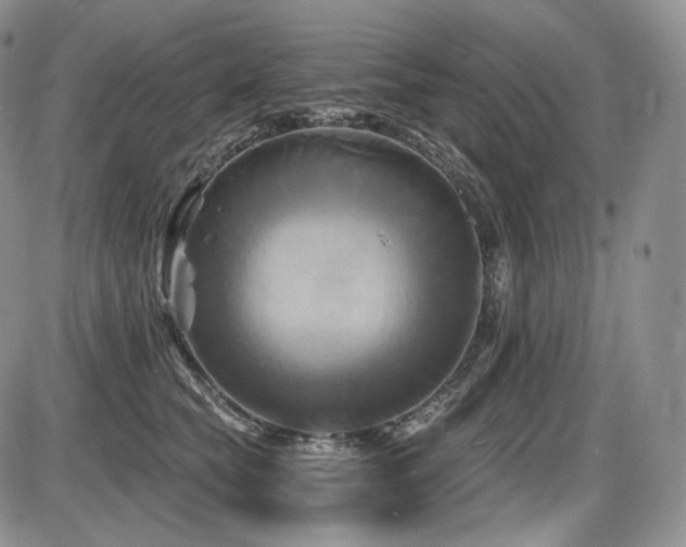 X0000086020565200703231149