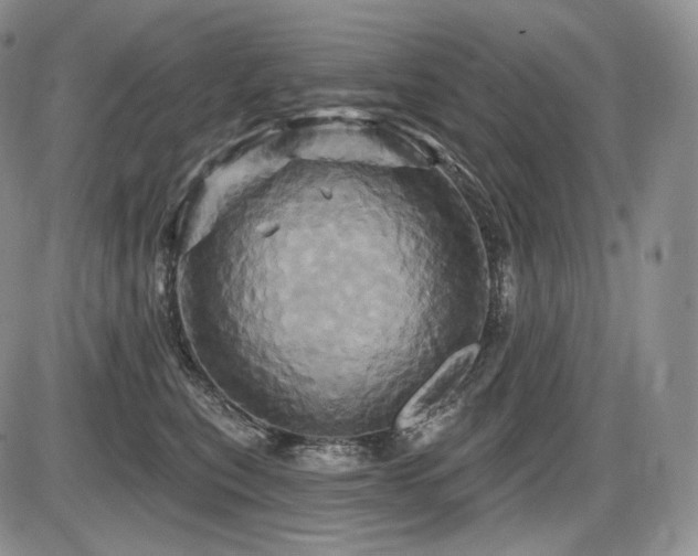 X0000086020567200703231149