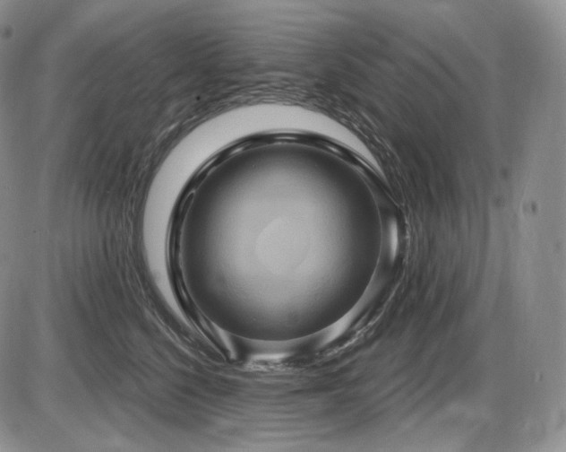 X0000086020568200703231149