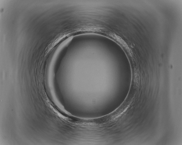 X0000086020577200703231148