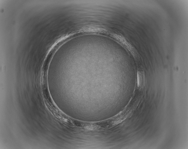 X0000086020579200703231148