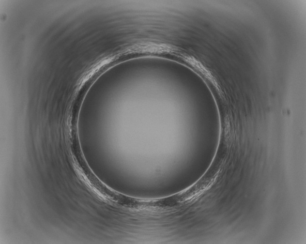 X0000086020581200703231148