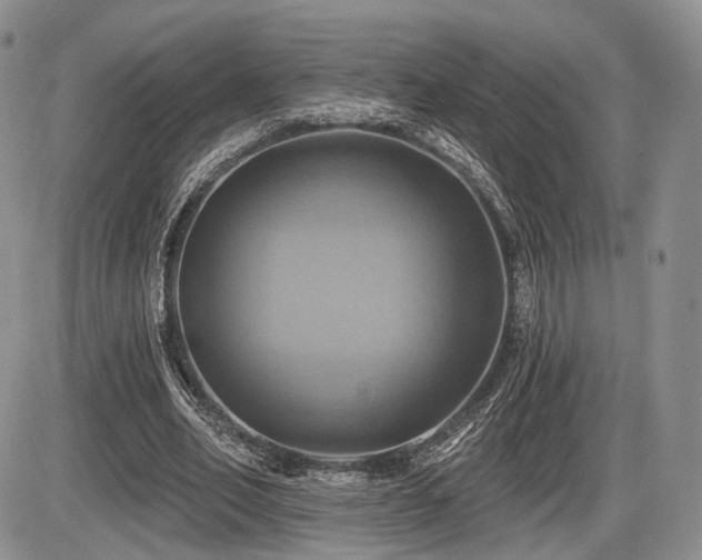 X0000086020582200703231148