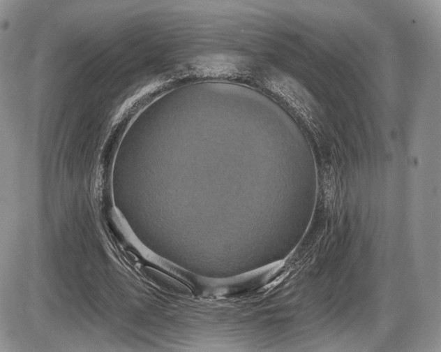 X0000086020583200703231148