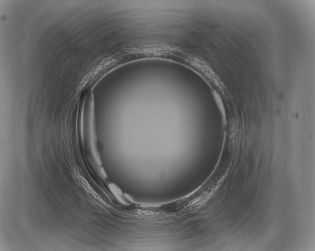 X0000086020585200703231148