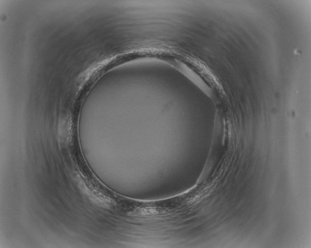X0000086020588200703231148