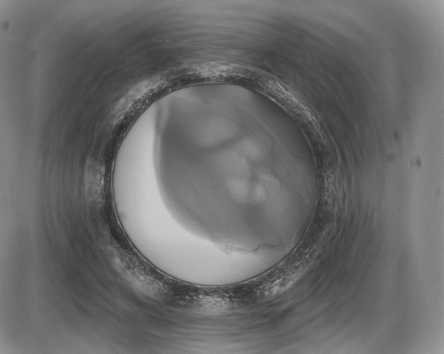 X0000086020592200703231148