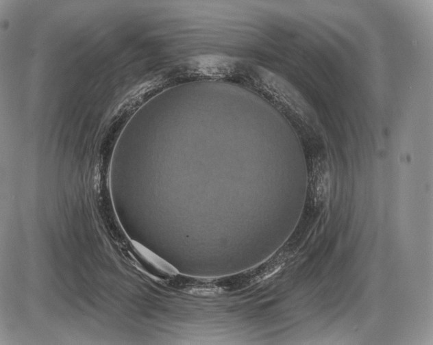 X0000086020595200703231148