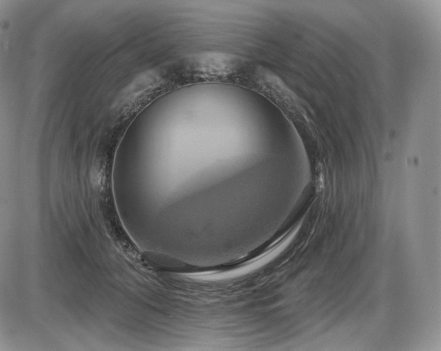 X0000086020608200703231148