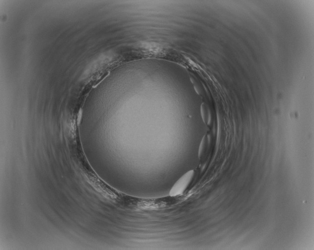 X0000086020613200703231148