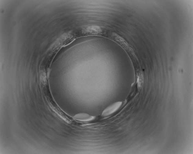 X0000086020617200703231148