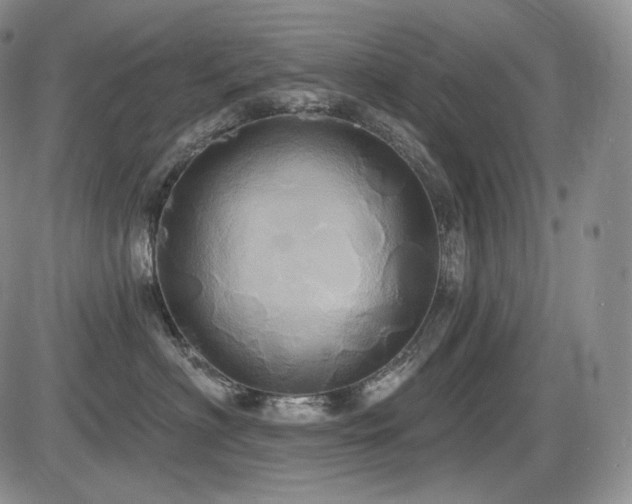 X0000086020622200703231147