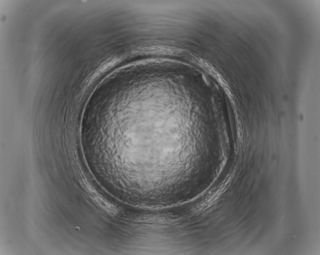 X0000086020625200703231147