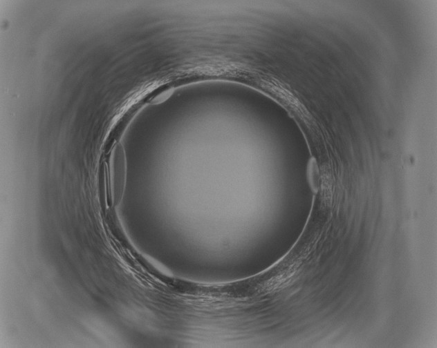 X0000086020626200703231147