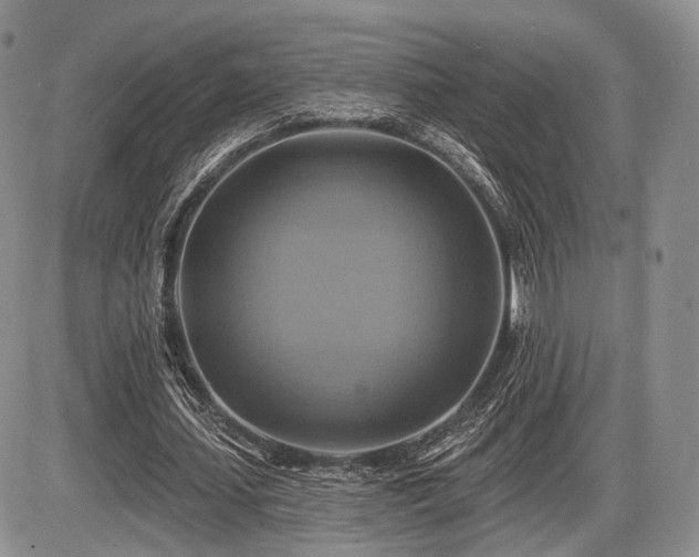 X0000086020627200703231147