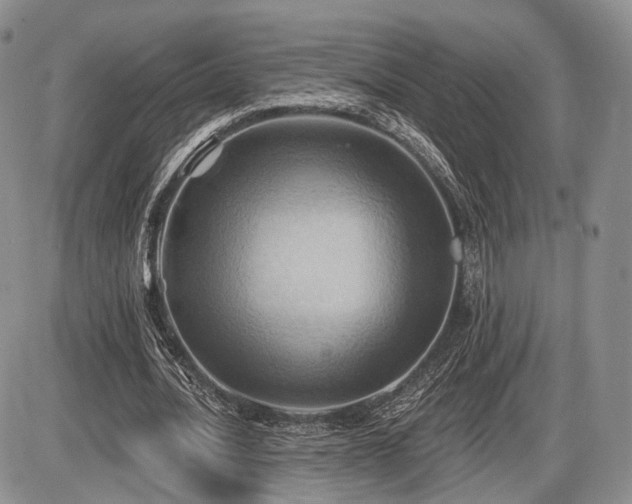X0000086020628200703231147