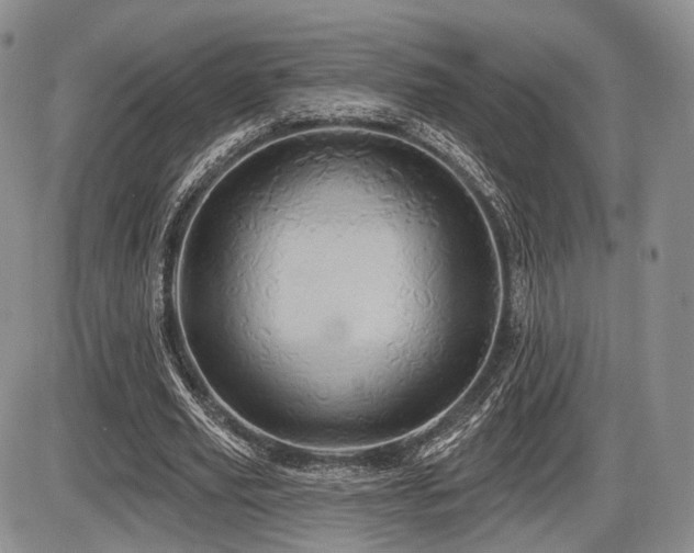 X0000086020629200703231147