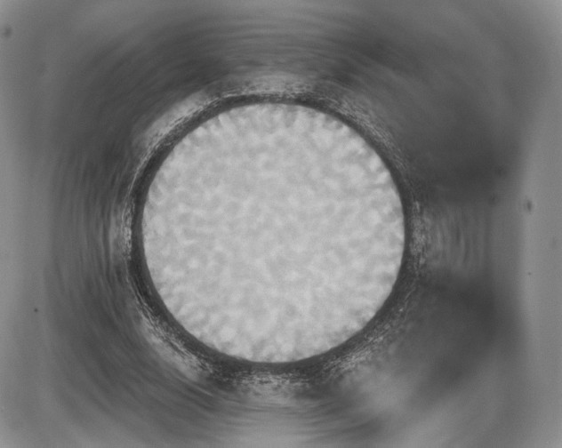 X0000086020632200703231147