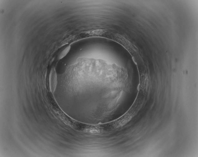 X0000086020655200703231147