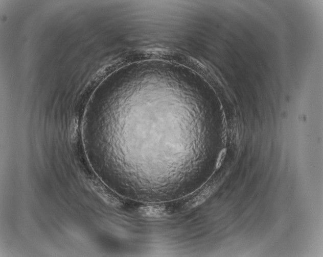 X0000086020660200703231147