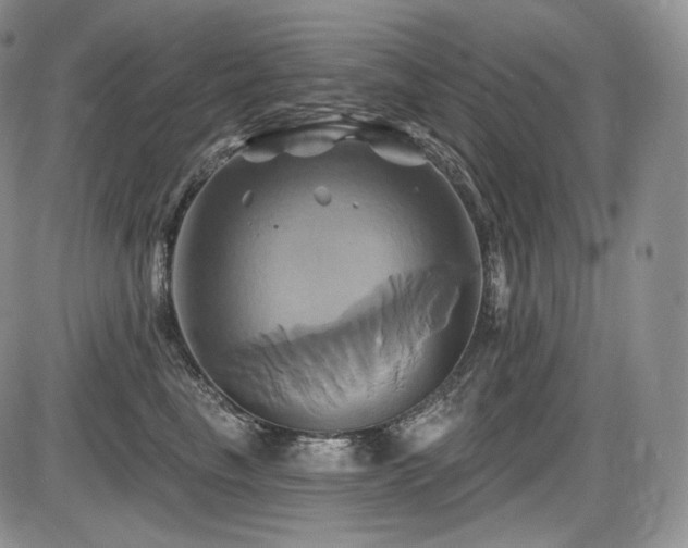X0000086020665200703231147