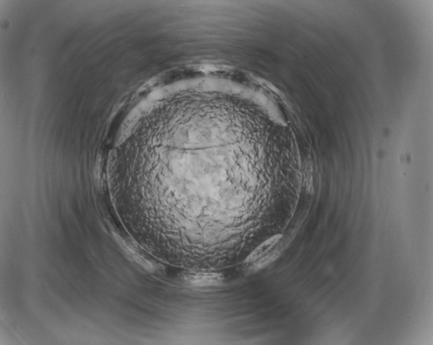 X0000086020670200703231147