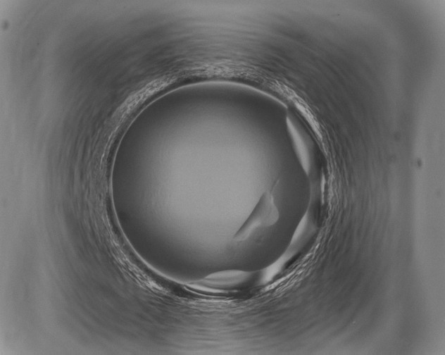 X0000086020673200703231147