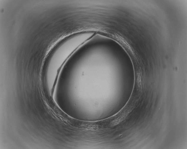 X0000086020676200703231147