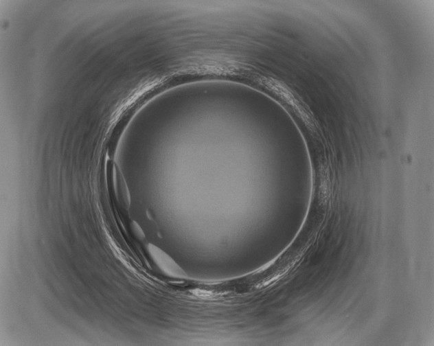 X0000086020677200703231147