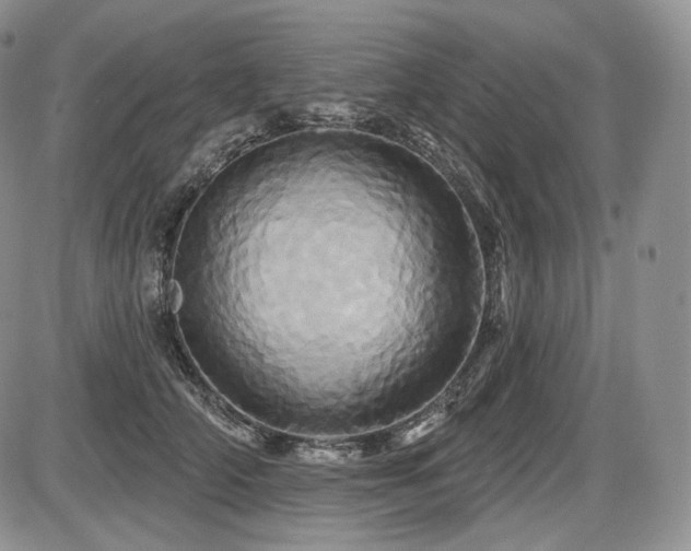 X0000086020706200703231146