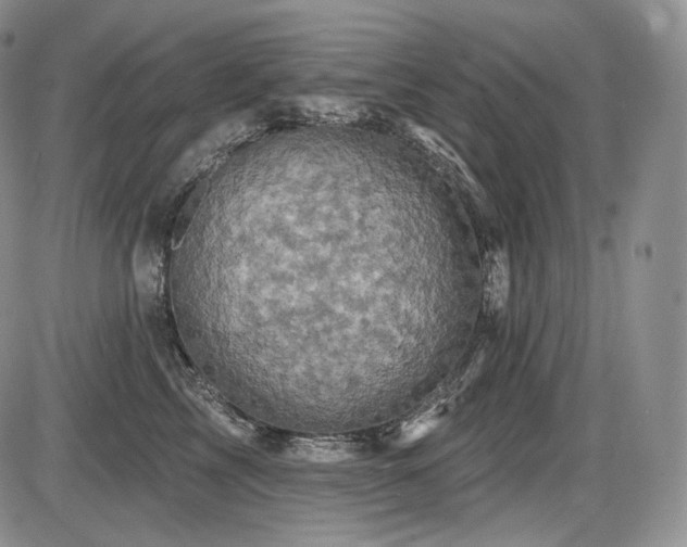 X0000086020713200703231146
