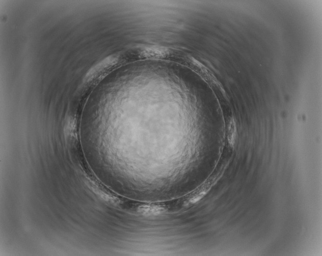 X0000086020714200703231146