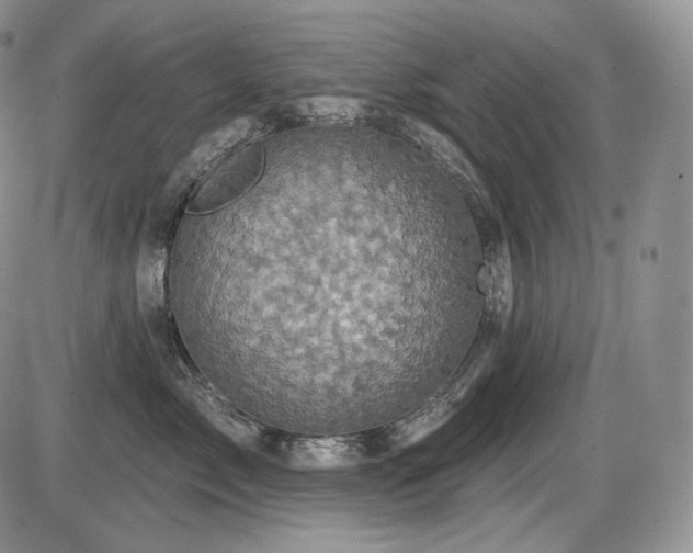 X0000086020717200703231146