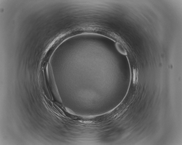 X0000086020723200703231145