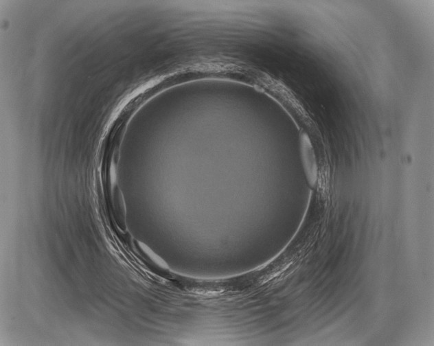 X0000086020724200703231145