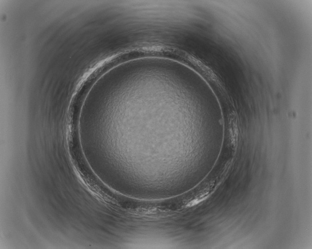 X0000086020728200703231145